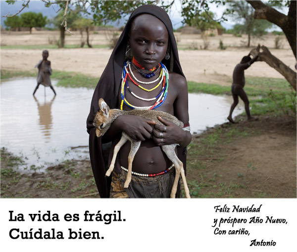 Feliz Navidad y Feliz Año Nuevo