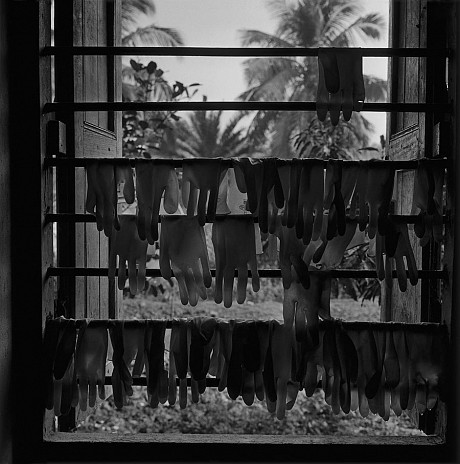 Sundarba Gloves, 2006 - Dayanita Singh