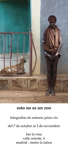 esto no es un zoo en esto sí es un bar