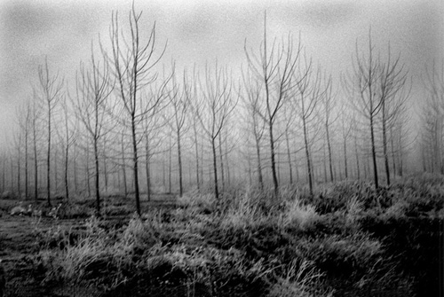 Taller de Ricky Dávila en LENS Escuela de Fotografía