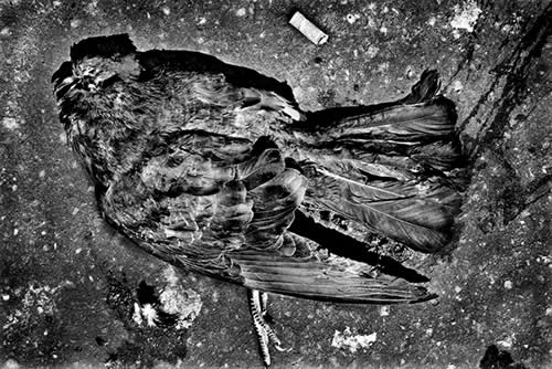 Taller de Ricky Dávila en LENS Escuela de Fotografía