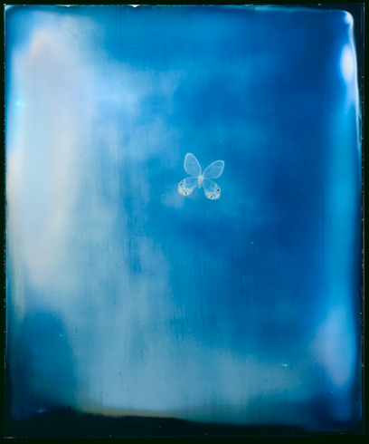 Adam Fuss - 'My Ghost' (Butterfly Daguerreotype)