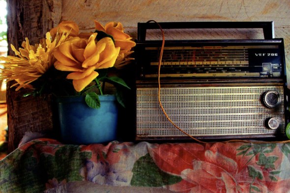 Ernesto Bazán - Al Campo