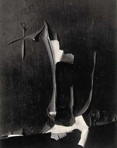 Minor White - Peeling