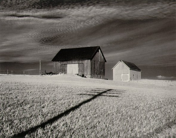 Minor White - Shadow