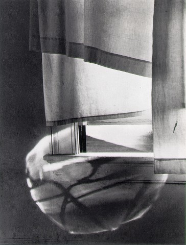 Minor White - Windowsill
