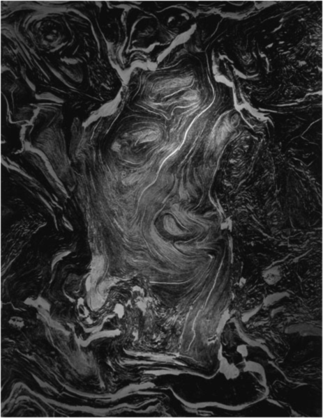 Wynn Bullock: Wood Bacchus,1972