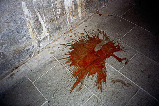 Iñaki Domingo - El ojo en la llaga