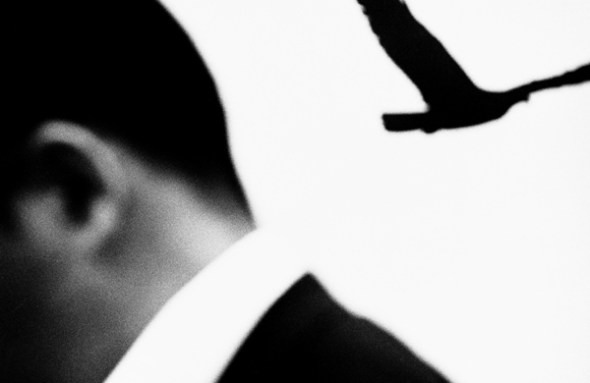 Renato D'Agostin - Venezia: The Beautiful Cliché