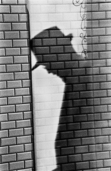 Renato D'Agostin - Venezia: The Beautiful Cliché