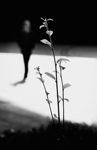 Renato D'Agostin - Tokyo Untitled