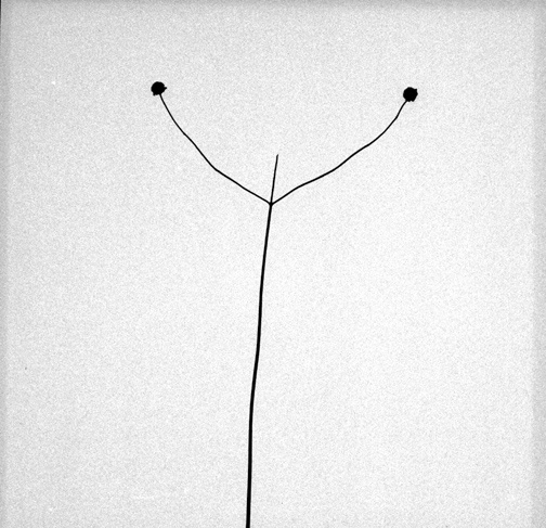 Harry Callahan - Detroit 1947