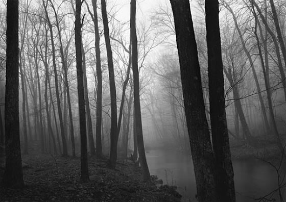 Paul Caponigro - Trees and Fog - Redding, Connecticut. 1968