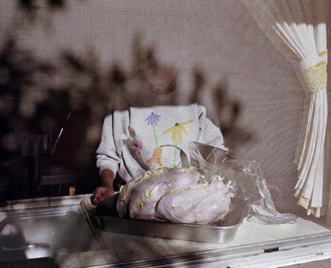 Larry Sultan - Pavo