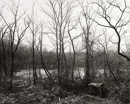 John Gossage - Sin título, 1985 (The Pond)