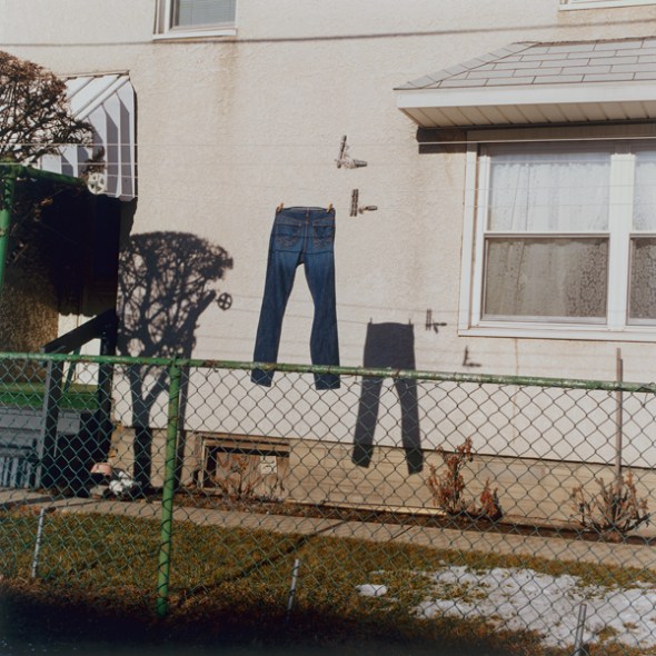 Jason Fulford - Del libro Mushroom Collector