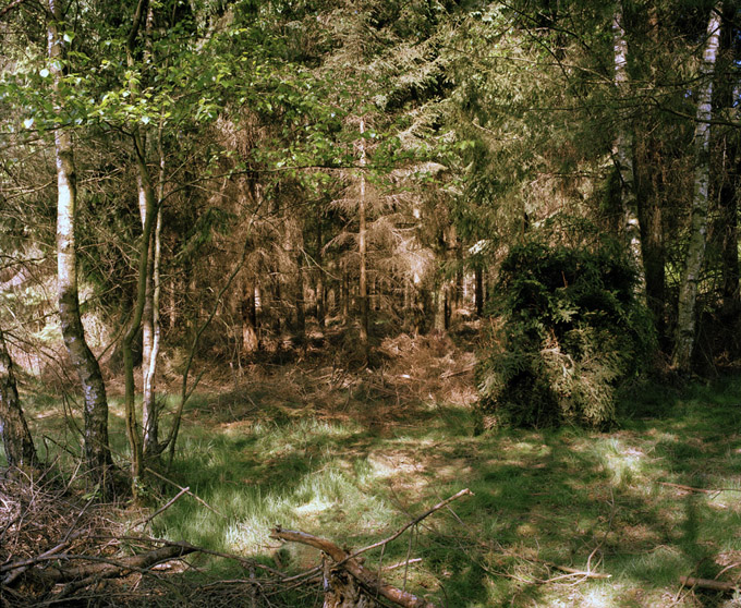 Simon Menner - Camouflage,. Sniper on the right side in the fir branch scrub.