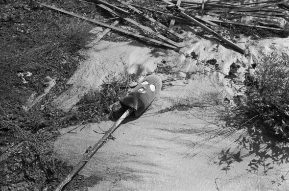 Mark Steinmetz - Pastoral