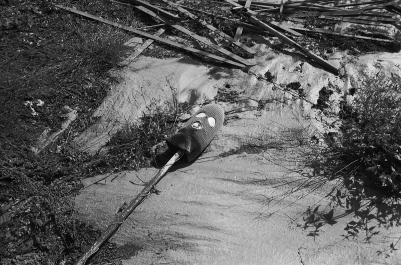 Mark Steinmetz - Pastoral
