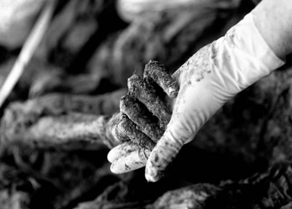 Tarik Samarah - Secondary mass grave from which 506 incomplete corpses were exhumed Eva Klonowski, anthropologist from Iceland, holding a victim’s arm, Kamenika near Zvornik, 2002