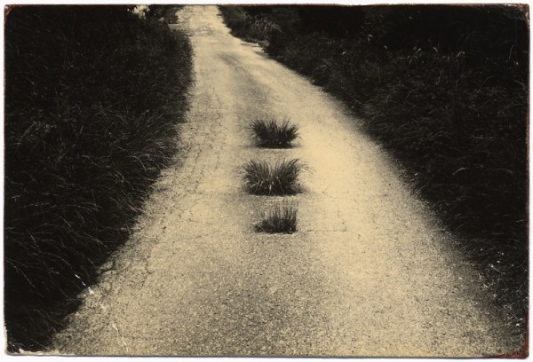 Masao Yamamoto: A Box of Ku, #94