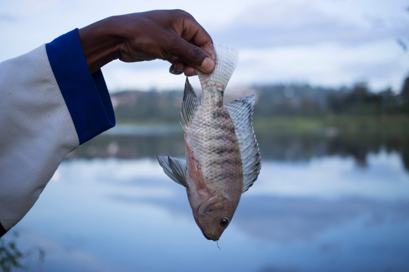 Kigali, 2014 © Antonio Pérez Río