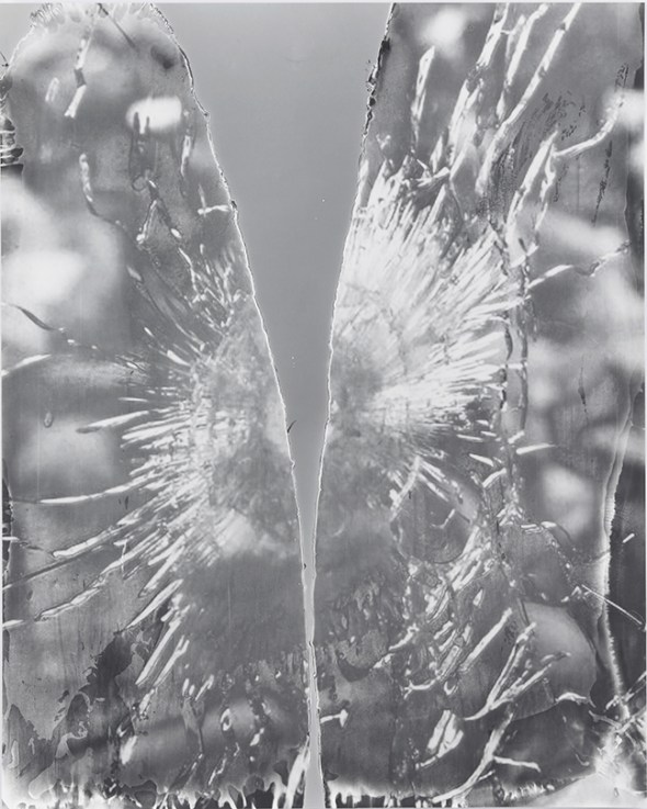 Eileen Quinlan © Paris Shot, 2016